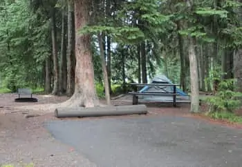 Bridge Bay Campground Site