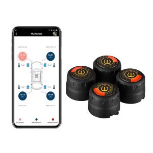 Tire Pressure Monitoring System