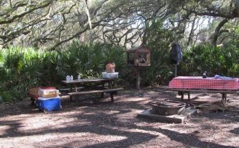 Dispersed Camp Site