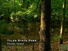 Tyler State Park In Texas