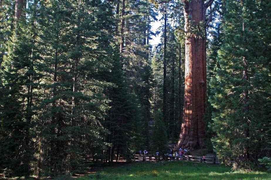 Sequoia and Kings Canyon National Park