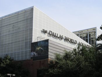 dallas-world-aquarium