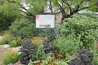 San Antonio Botanical Garden