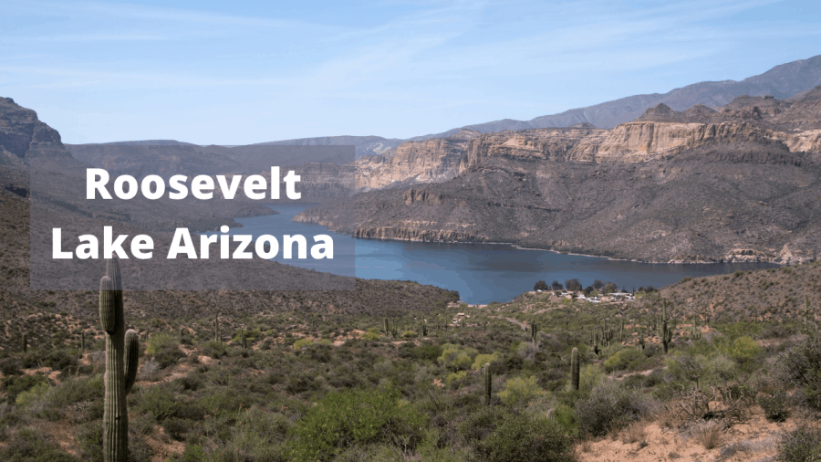 Roosevelt Lake Arizona Camping
