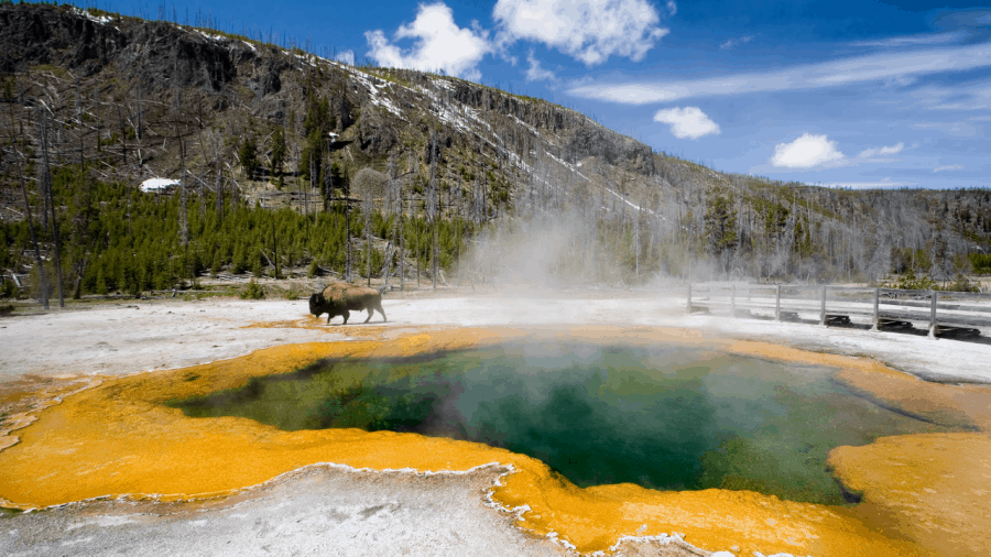 Yellowstone National Park