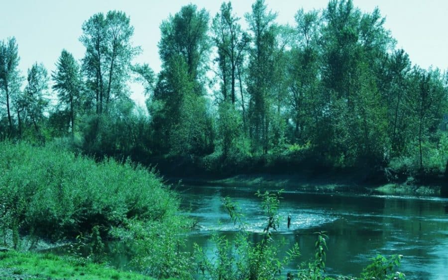 Long Term RV Parks Oregon