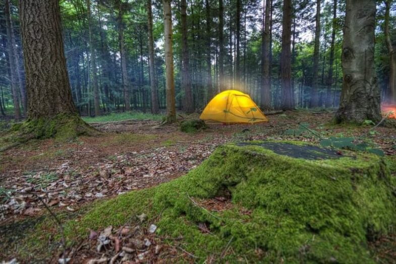 Wild Camping